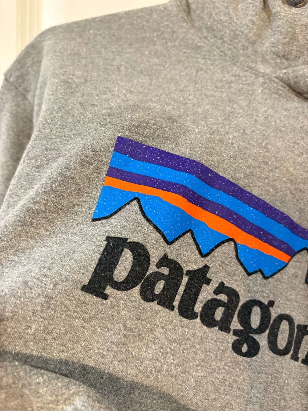 Patagonia Gray Crewneck Sweatshirt with Blue, Purple & Orange Mountain Logo